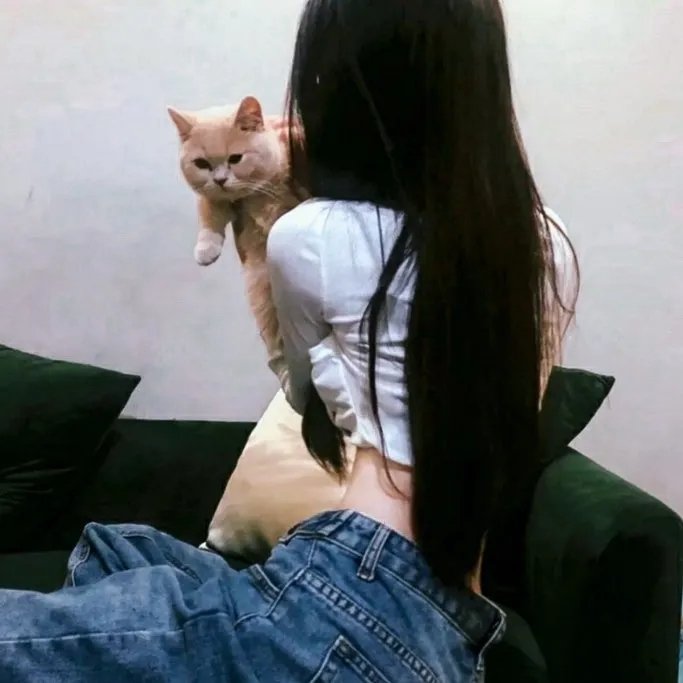 抢来的新娘